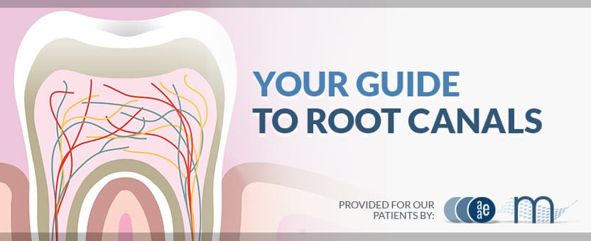 Guide To Root Canals